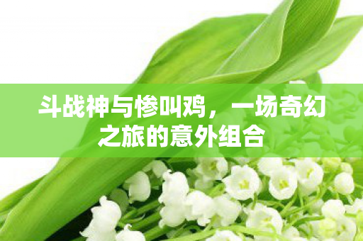 斗战神与惨叫鸡，一场奇幻之旅的意外组合