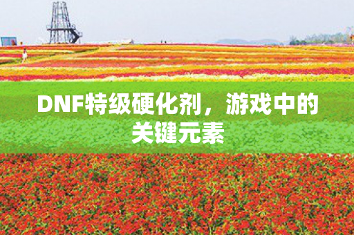 DNF特级硬化剂,游戏中的关键元素 DNF特级硬化剂,游戏中的关键元素