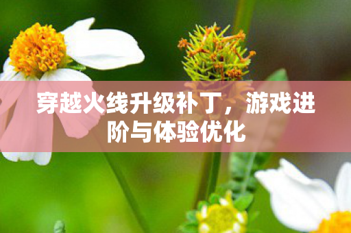 穿越火线升级补丁,游戏进阶与体验优化 穿越火线升级补丁,游戏进阶与体验优化