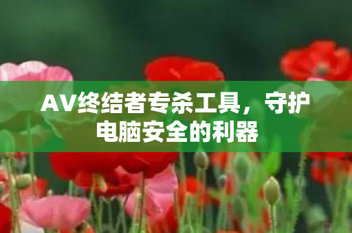 AV终结者专杀工具，守护电脑安全的利器
