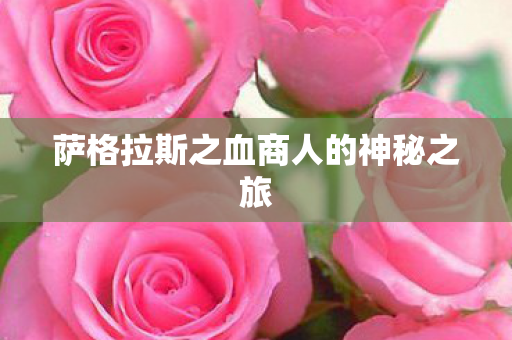 萨格拉斯之血商人的神秘之旅 萨格拉斯之血商人的神秘之旅