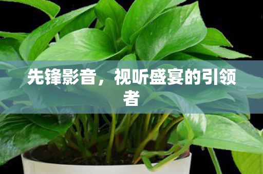先锋影音,视听盛宴的引领者 先锋影音,视听盛宴的引领者