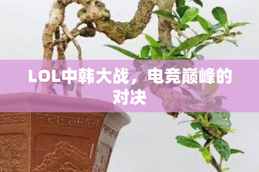 LOL中韩大战,电竞巅峰的对决 LOL中韩大战,电竞巅峰的对决