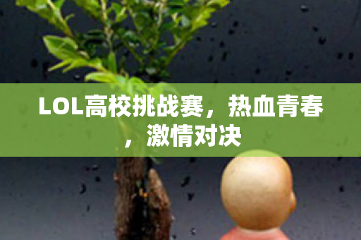 LOL高校挑战赛,热血青春,激情对决 LOL高校挑战赛,热血青春,激情对决