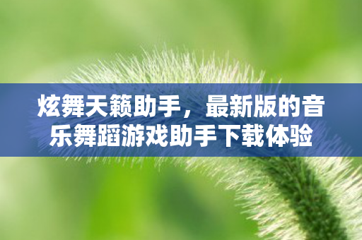 炫舞天籁助手,最新版的音乐舞蹈游戏助手下载体验 炫舞天籁助手,最新版的音乐舞蹈游戏助手下载体验