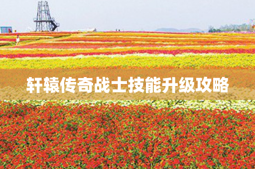 轩辕传奇战士技能升级攻略