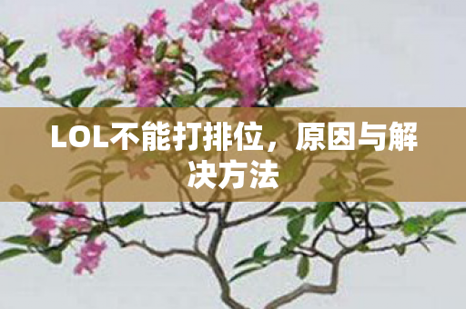 LOL不能打排位,原因与解决方法 LOL不能打排位,原因与解决方法