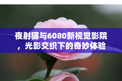 夜射猫与6080新视觉影院,光影交织下的奇妙体验 夜射猫与6080新视觉影院,光影交织下的奇妙体验