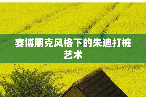 赛博朋克风格下的朱迪打桩艺术 赛博朋克风格下的朱迪打桩艺术
