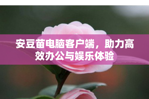 安豆苗电脑客户端,助力高效办公与娱乐体验 安豆苗电脑客户端,助力高效办公与娱乐体验
