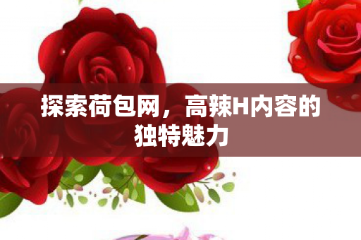 探索荷包网，高辣H内容的独特魅力