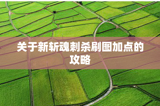 关于新斩魂刺杀刷图加点的攻略 关于新斩魂刺杀刷图加点的攻略