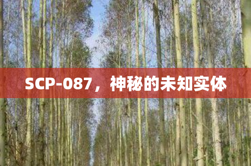 SCP-087，神秘的未知实体
