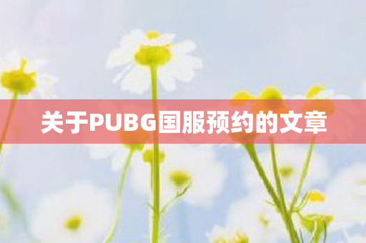 关于PUBG国服预约的文章 关于PUBG国服预约的文章