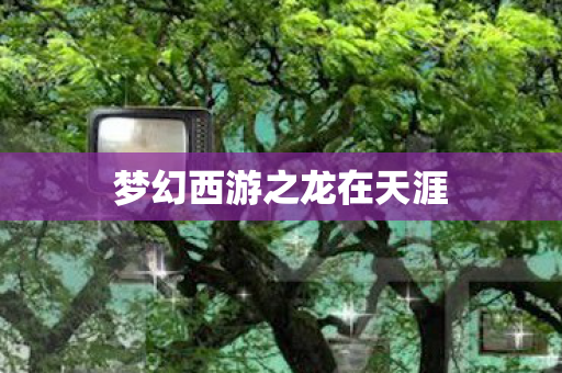 梦幻西游之龙在天涯