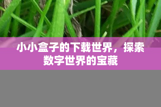 小小盒子的下载世界,探索数字世界的宝藏 小小盒子的下载世界,探索数字世界的宝藏