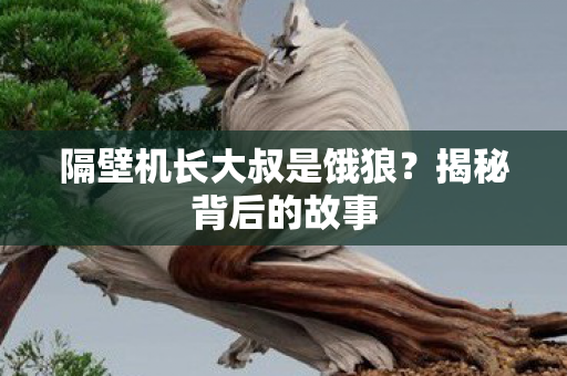 隔壁机长大叔是饿狼?揭秘背后的故事 隔壁机长大叔是饿狼?揭秘背后的故事