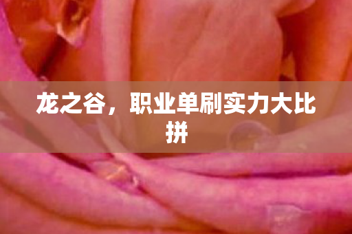 龙之谷,职业单刷实力大比拼 龙之谷,职业单刷实力大比拼
