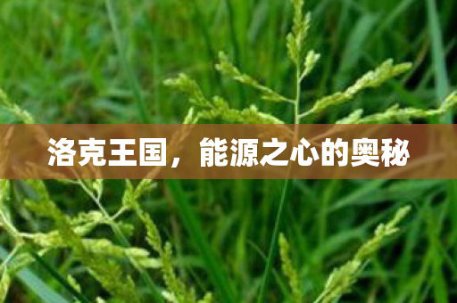 洛克王国,能源之心的奥秘 洛克王国,能源之心的奥秘