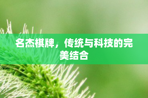 名杰棋牌,传统与科技的完美结合 名杰棋牌,传统与科技的完美结合