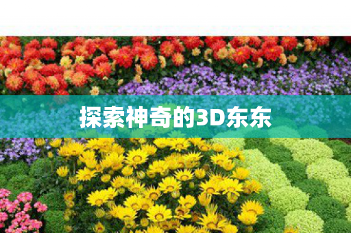 探索神奇的3D东东 探索神奇的3D东东