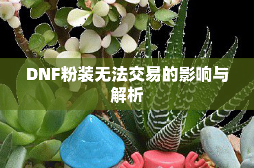 DNF粉装无法交易的影响与解析