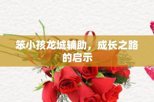 笨小孩龙城辅助,成长之路的启示 笨小孩龙城辅助,成长之路的启示