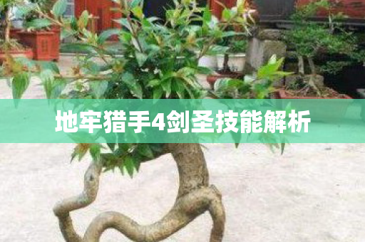 地牢猎手4剑圣技能解析 地牢猎手4剑圣技能解析