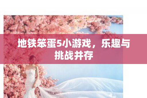 地铁笨蛋5小游戏，乐趣与挑战并存
