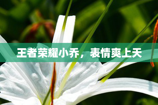 王者荣耀小乔,表情爽上天 王者荣耀小乔,表情爽上天