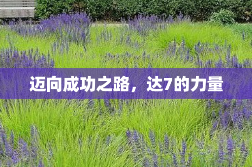 迈向成功之路,达7的力量 迈向成功之路,达7的力量