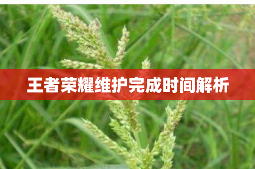 王者荣耀维护完成时间解析