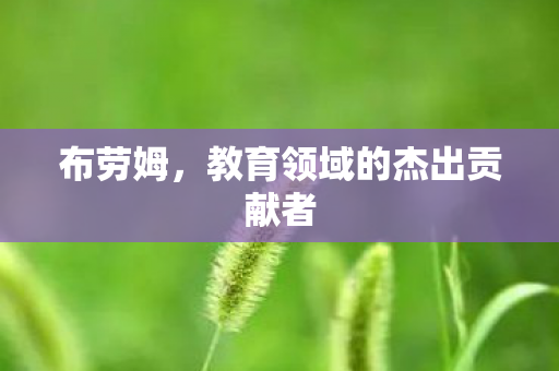布劳姆,教育领域的杰出贡献者 布劳姆,教育领域的杰出贡献者