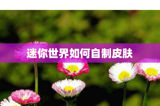 迷你世界如何自制皮肤 迷你世界如何自制皮肤