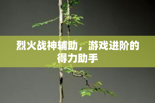 烈火战神辅助,游戏进阶的得力助手 烈火战神辅助,游戏进阶的得力助手