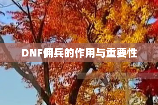 DNF佣兵的作用与重要性 DNF佣兵的作用与重要性