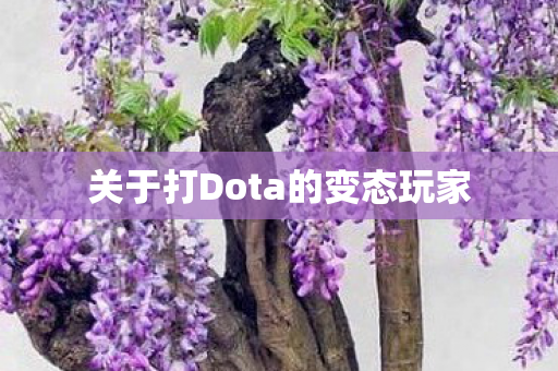 关于打Dota的变态玩家
