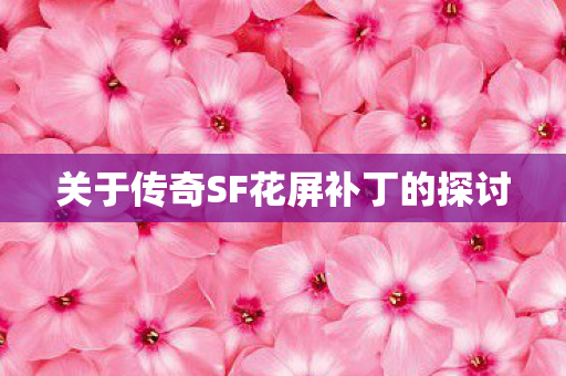 关于传奇SF花屏补丁的探讨