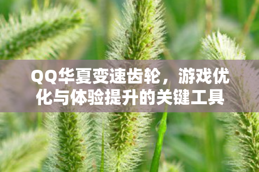 QQ华夏变速齿轮,游戏优化与体验提升的关键工具 QQ华夏变速齿轮,游戏优化与体验提升的关键工具