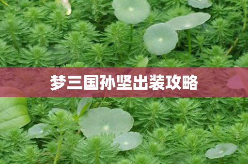 梦三国孙坚出装攻略 梦三国孙坚出装攻略