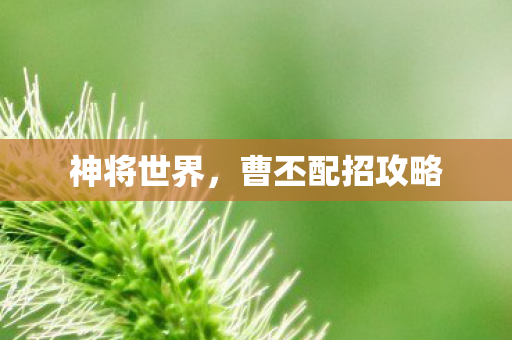 神将世界,曹丕配招攻略 神将世界,曹丕配招攻略