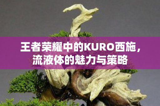 王者荣耀中的KURO西施，流液体的魅力与策略
