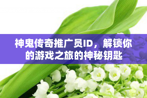神鬼传奇推广员ID，解锁你的游戏之旅的神秘钥匙