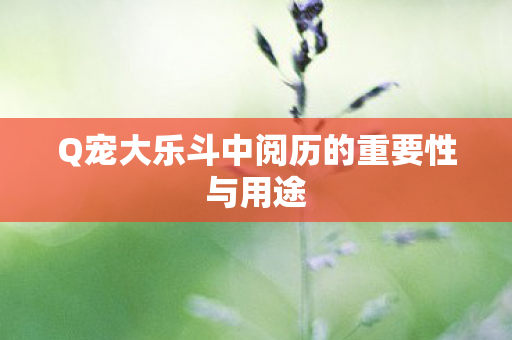 Q宠大乐斗中阅历的重要性与用途