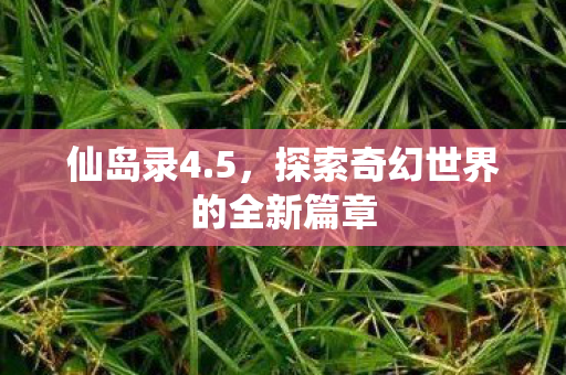 仙岛录4.5,探索奇幻世界的全新篇章 仙岛录4.5,探索奇幻世界的全新篇章