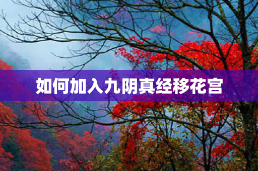 如何加入九阴真经移花宫 如何加入九阴真经移花宫
