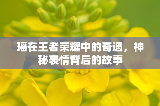 瑶在王者荣耀中的奇遇,神秘表情背后的故事 瑶在王者荣耀中的奇遇,神秘表情背后的故事