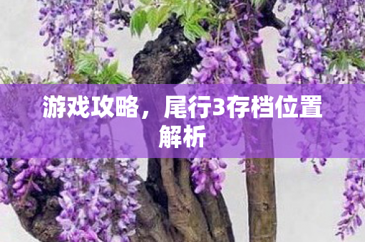游戏攻略，尾行3存档位置解析