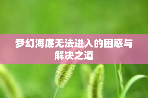 梦幻海底无法进入的困惑与解决之道 梦幻海底无法进入的困惑与解决之道