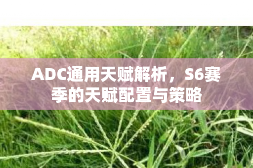 ADC通用天赋解析,S6赛季的天赋配置与策略 ADC通用天赋解析,S6赛季的天赋配置与策略